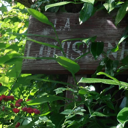 La Louisiane * Salies-de-Bearn